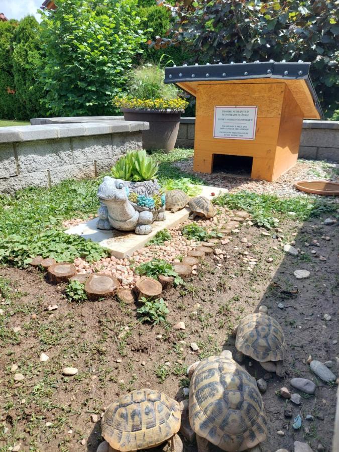 Apartma Zirovnik Cerklje na Gorenjskem Zewnętrze zdjęcie
